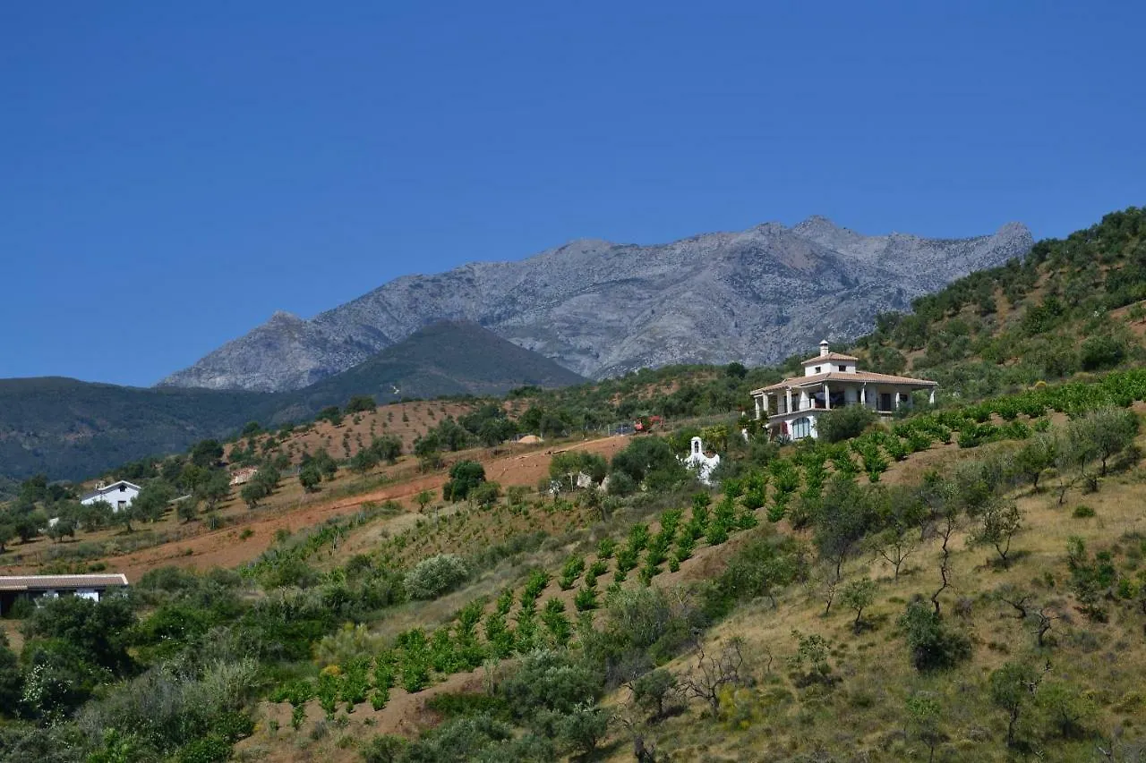 The African House Bed & Breakfast Tolox